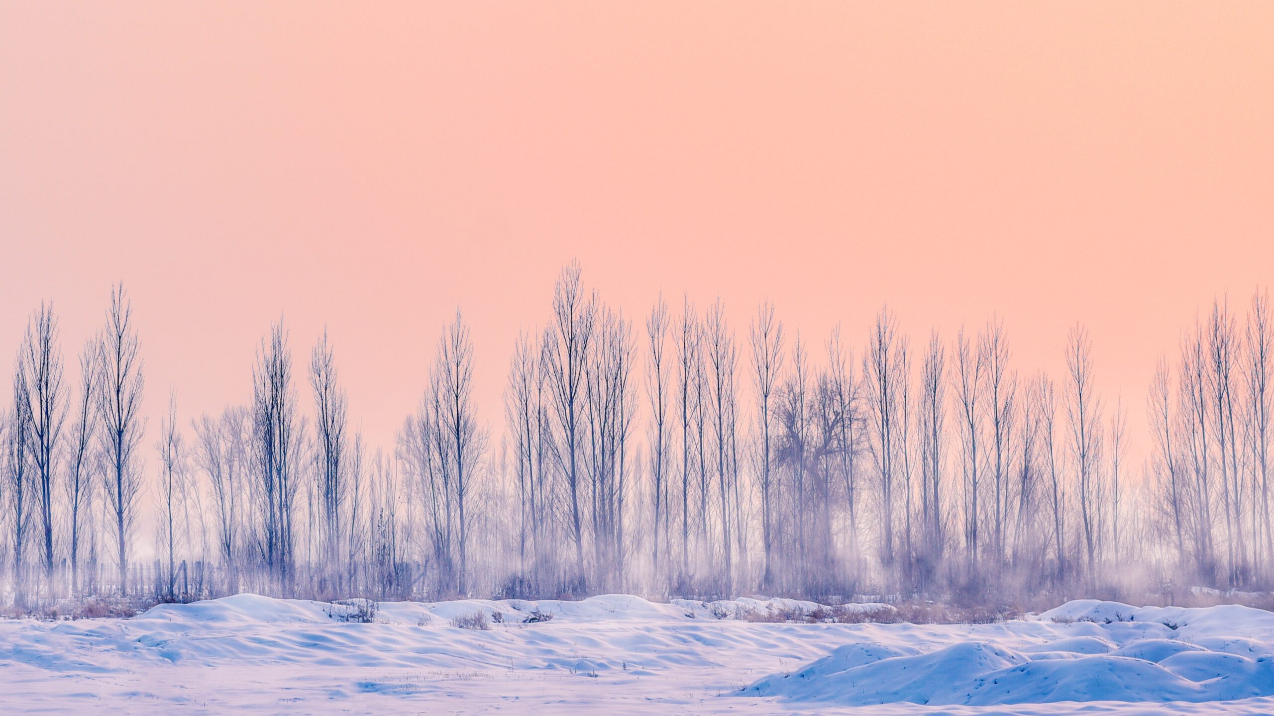 winter