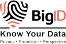 BigID-1.png