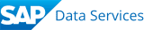 SAP-Data-Serivces.png