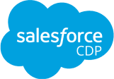Salesforce-CDP.png